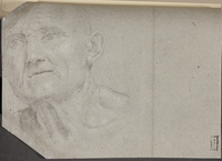 C 055 verso
          <br/>
          Kop van oude man ('Seneca')
          <br/>
          <em>Domenichino (1581-1641)</em>